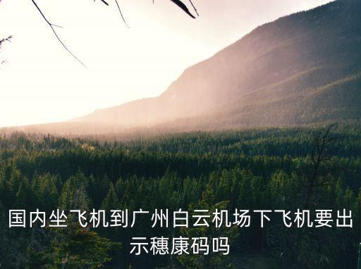 沒到廣州要填粵康碼嗎，買廣州到外省的火車票前要掃穗康碼嗎