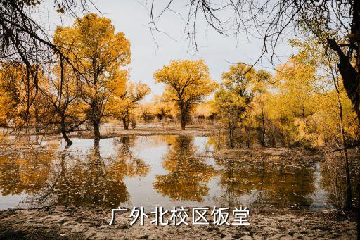 廣州江南外國語中學飯堂，獨墅湖校區一期共有幾個食堂哪個食堂相對較好點