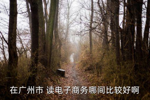 在廣州市 讀電子商務哪間比較好啊