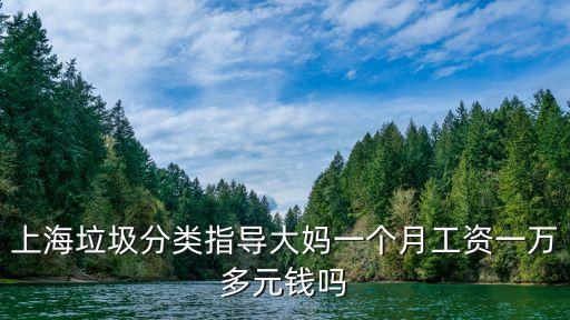 上海垃圾分類指導大媽一個月工資一萬多元錢嗎