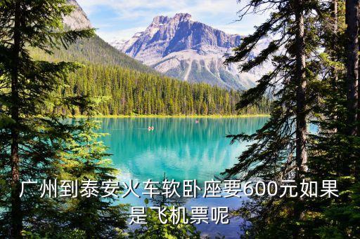 廣州到泰安火車軟臥座要600元如果是飛機票呢