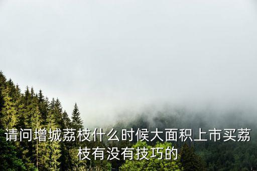 請問增城荔枝什么時候大面積上市買荔枝有沒有技巧的