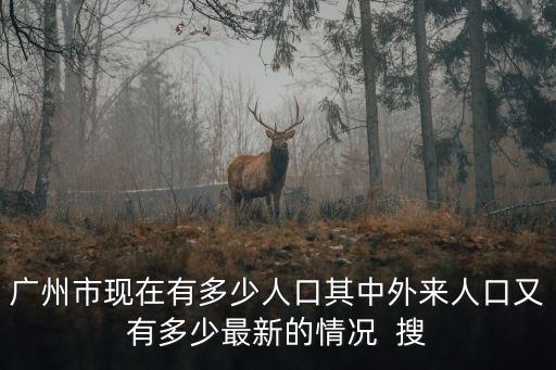 廣州外地人現狀，廣州市現在有多少人口其中外來人口又有多少最新的情況  搜