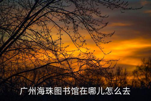 廣州海珠區(qū)小學(xué)圖書館，廣州海珠圖書館在哪兒怎么去