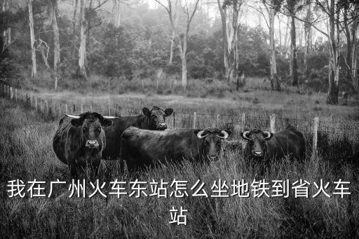 我在廣州火車東站怎么坐地鐵到省火車站