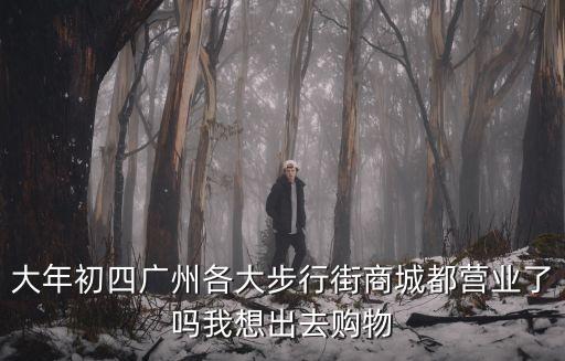 大年初四廣州各大步行街商城都營業了嗎我想出去購物