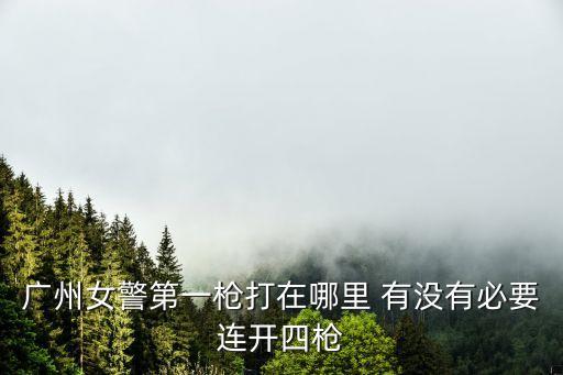 廣州女警第一槍打在哪里 有沒有必要連開四槍