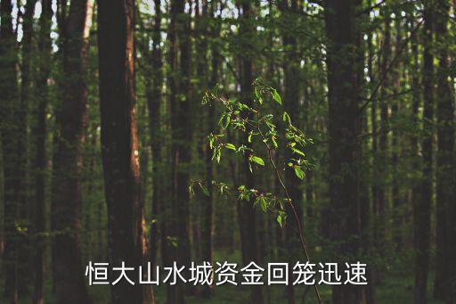 廣州市增城恒大山水城總體規劃圖，恒大山水城的介紹