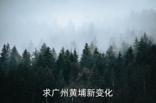 廣州黃埔萬科城市之光改規(guī)劃，求廣州黃埔新變化