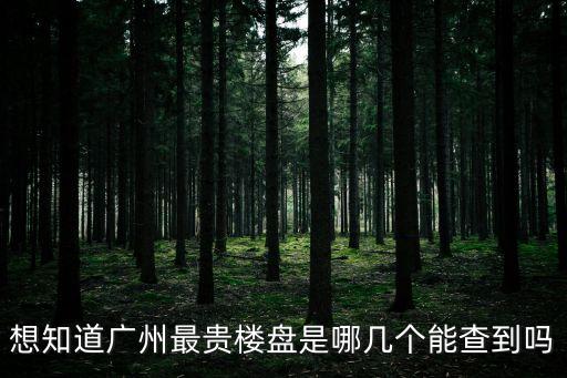 想知道廣州最貴樓盤是哪幾個能查到嗎