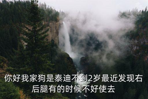你好我家狗是泰迪不到2歲最近發(fā)現(xiàn)右后腿有的時候不好使去