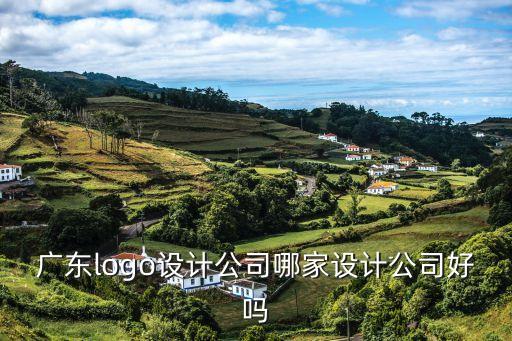 廣東logo設計公司哪家設計公司好嗎
