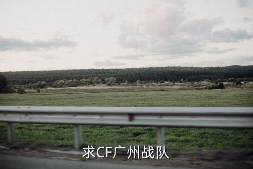 廣州cfm戰隊，CF南方大區有哪些是廣州的戰隊比較好一點的