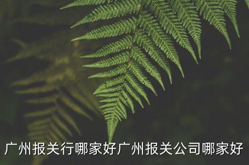 廣州報(bào)關(guān)行哪家好廣州報(bào)關(guān)公司哪家好