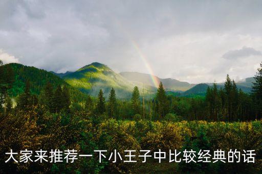 大家來推薦一下小王子中比較經典的話