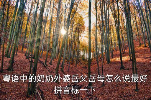 外婆用廣州話怎么說，外婆外公的粵語怎么說