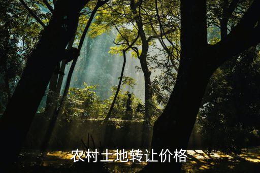 廣州農(nóng)村土地出售價(jià)格，請(qǐng)問(wèn)現(xiàn)在廣州的地皮平均在什么價(jià)格