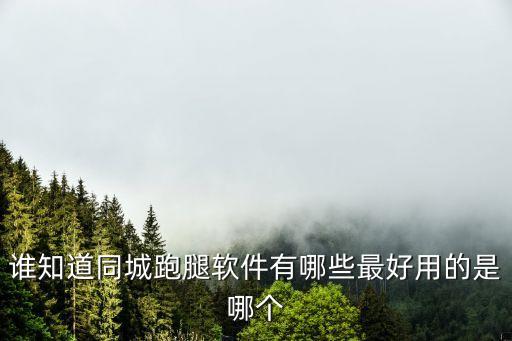 誰知道同城跑腿軟件有哪些最好用的是哪個(gè)