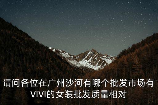 廣州市唯旎服飾，動感曲線內衣店南昌市有分店嗎
