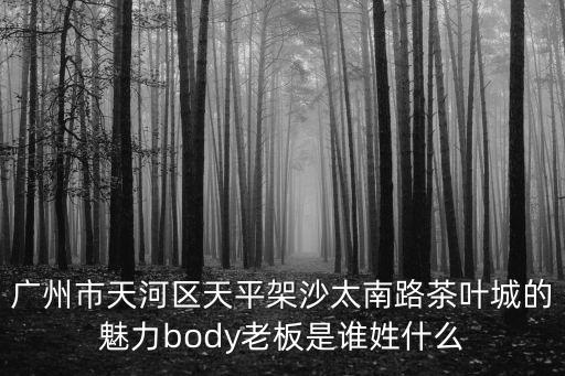 廣州市天河區天平架沙太南路茶葉城的魅力body老板是誰姓什么