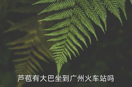 蘆苞客運站到廣州站汽車時刻表，蘆苞有大巴坐到廣州火車站嗎