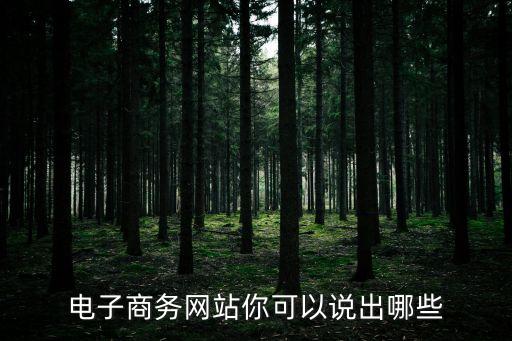 電子商務網站你可以說出哪些