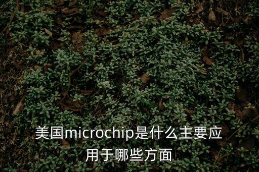 美國microchip是什么主要應用于哪些方面