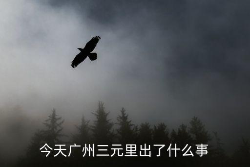 今天廣州三元里出了什么事
