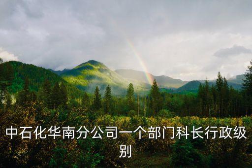 中石化廣州工程公司級別，中石化華南分公司一個部門科長行政級別
