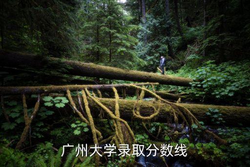 廣州大學提前批分數線出來了嗎，誰知道廣州大學今年的錄取分數線是多少