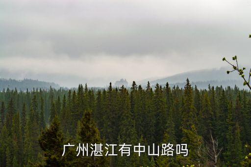 吳川市感染者住廣州什么地方，廣州湛江有中山路嗎