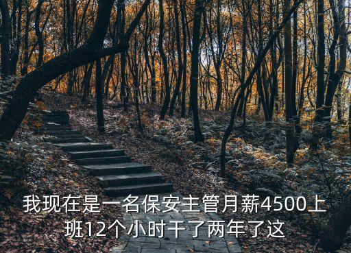 我現在是一名保安主管月薪4500上班12個小時干了兩年了這