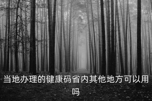 當地辦理的健康碼省內其他地方可以用嗎
