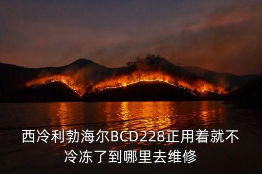 西冷利勃海爾BCD228正用著就不冷凍了到哪里去維修