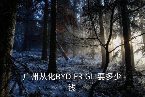 廣州從化BYD F3 GLI要多少錢
