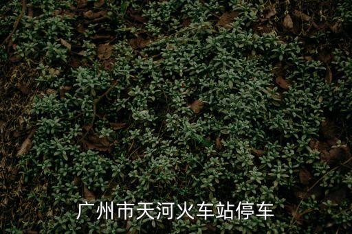 廣州市天河火車(chē)站停車(chē)