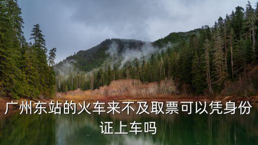 廣州東站的火車來不及取票可以憑身份證上車嗎