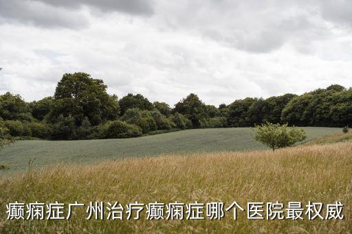 癲癇癥廣州治療癲癇癥哪個(gè)醫(yī)院最權(quán)威