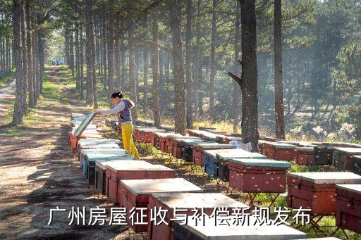 廣州房屋征收與補償新規發布