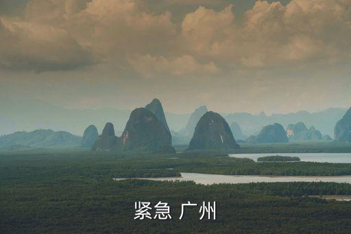 緊急 廣州