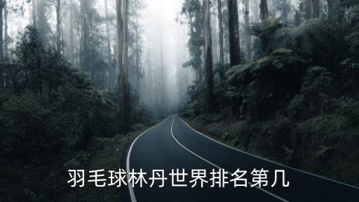 羽毛球男單世界排名，羽毛球林丹世界排名第幾