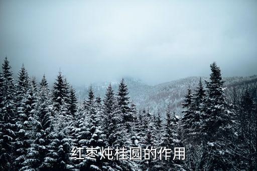 紅棗桂圓，紅棗燉桂圓的作用