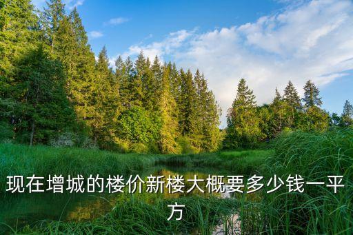 現在增城的樓價新樓大概要多少錢一平方