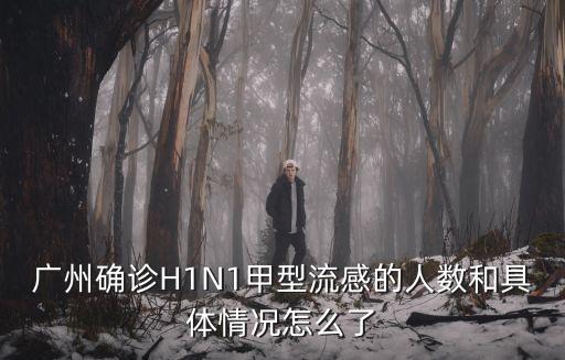 廣州確診H1N1甲型流感的人數和具體情況怎么了