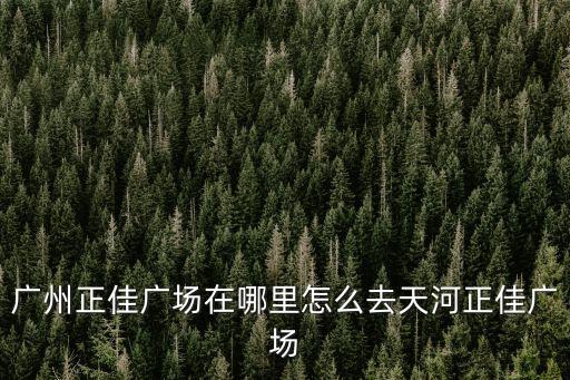 廣州正佳廣場在哪里怎么去天河正佳廣場