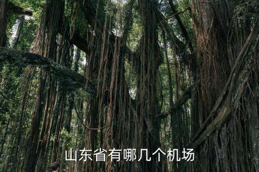 廣州餐飲業什么時候開放，長隆有什么好玩