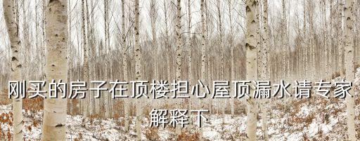 剛買的房子在頂樓擔心屋頂漏水請專家解釋下