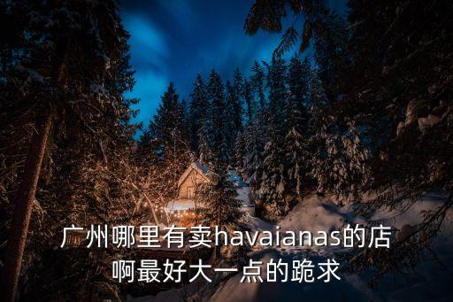 廣州哪里有賣havaianas的店啊最好大一點的跪求