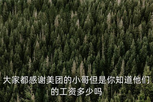 大家都感謝美團(tuán)的小哥但是你知道他們的工資多少嗎