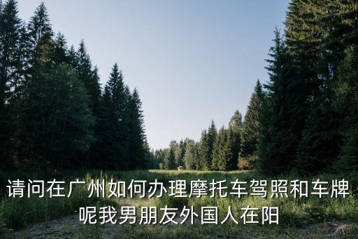 請問在廣州如何辦理摩托車駕照和車牌呢我男朋友外國人在陽
